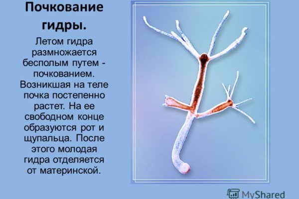 Не получается зайти на кракен