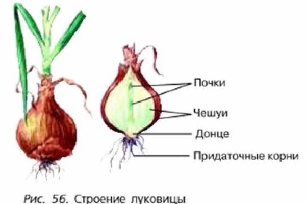 Кракен марке даркнет